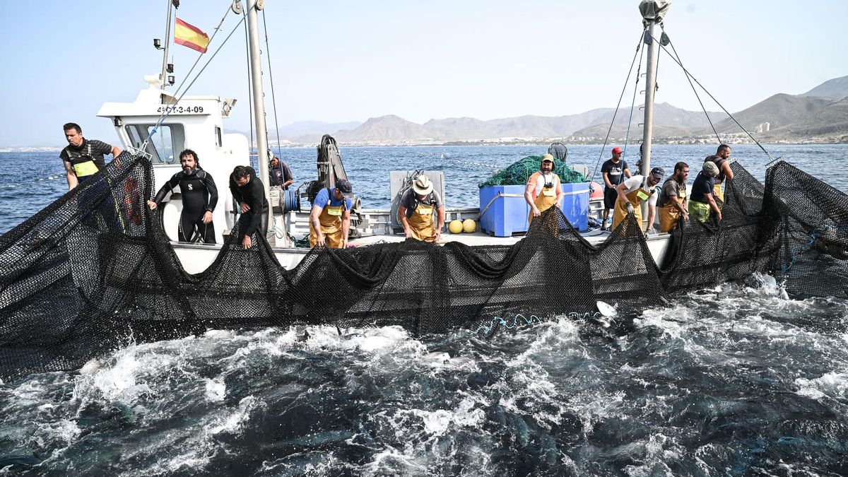 El pequeño pueblo mediterráneo que mantiene un arte de pesca milenaria: la última almadraba
