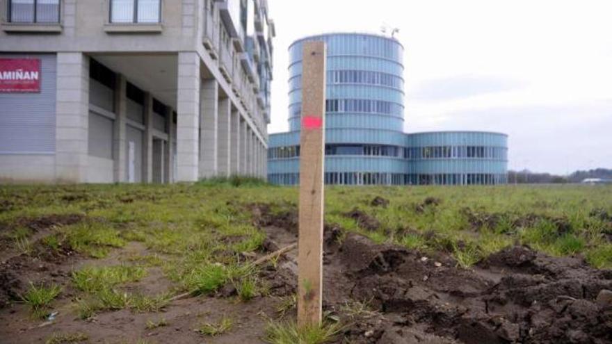 Colocación de estacas de madera para delimitar el terreno, con el consistorio al fondo.  // Bernabé/Javier Lalín