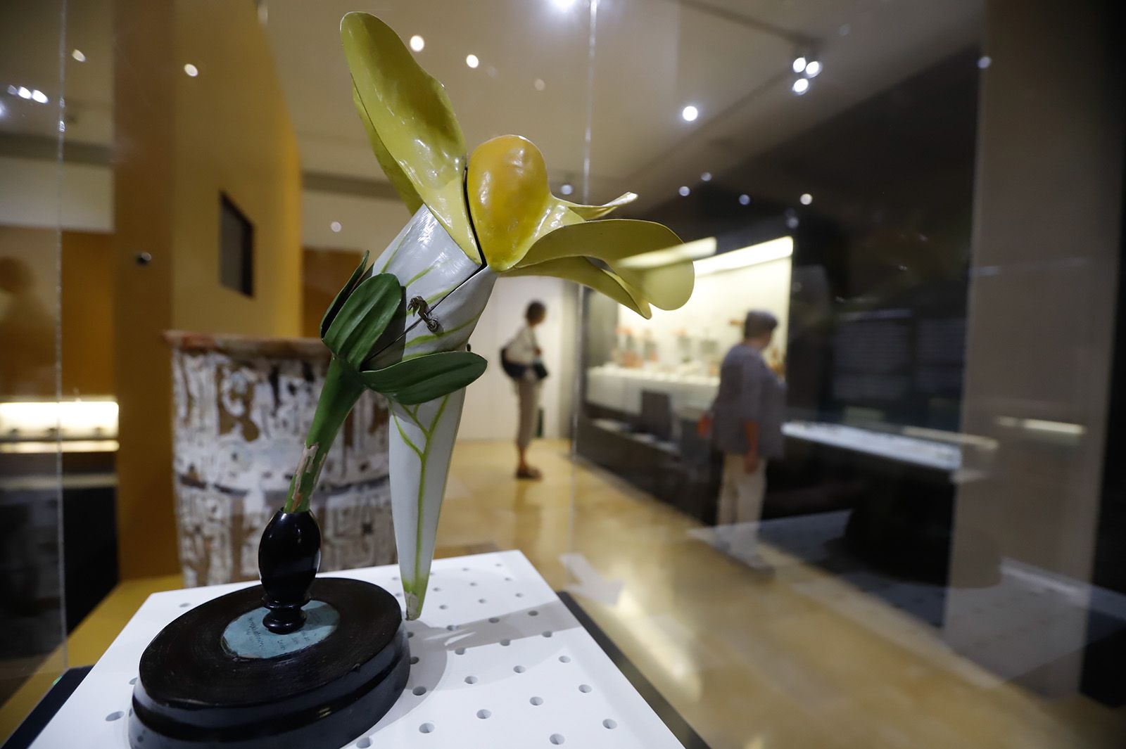 Flora expone el vínculo ancestral entre botánica y arqueología