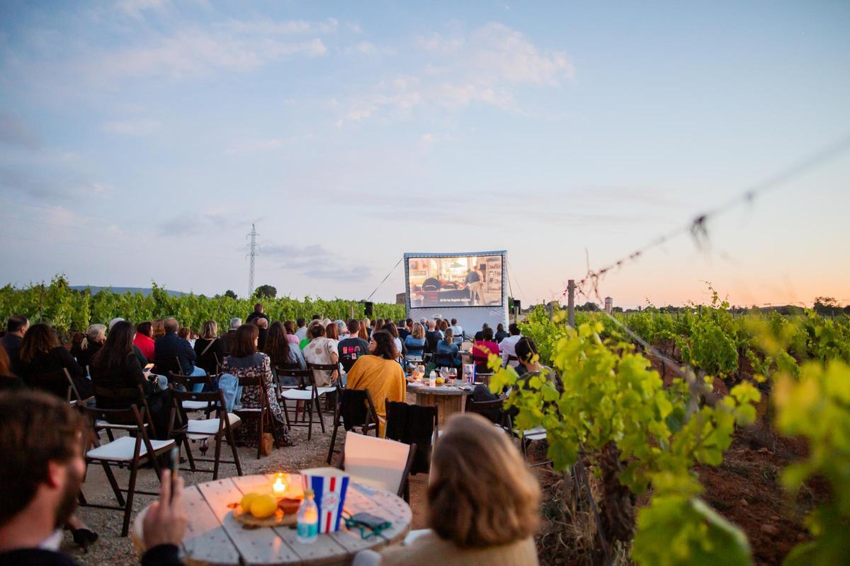 Conoscreens: libera la magia del cine al aire libre.