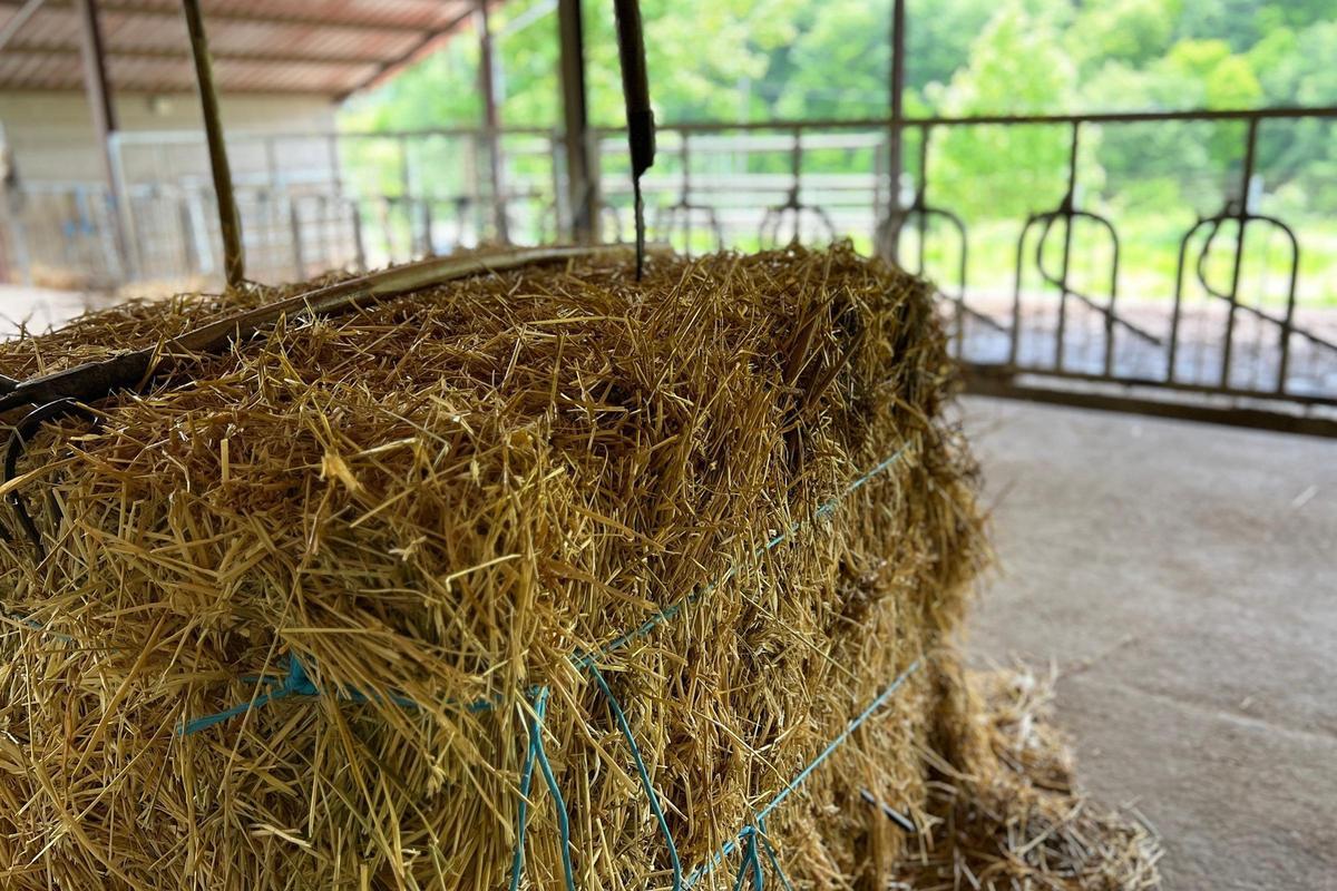 Bales de palla.