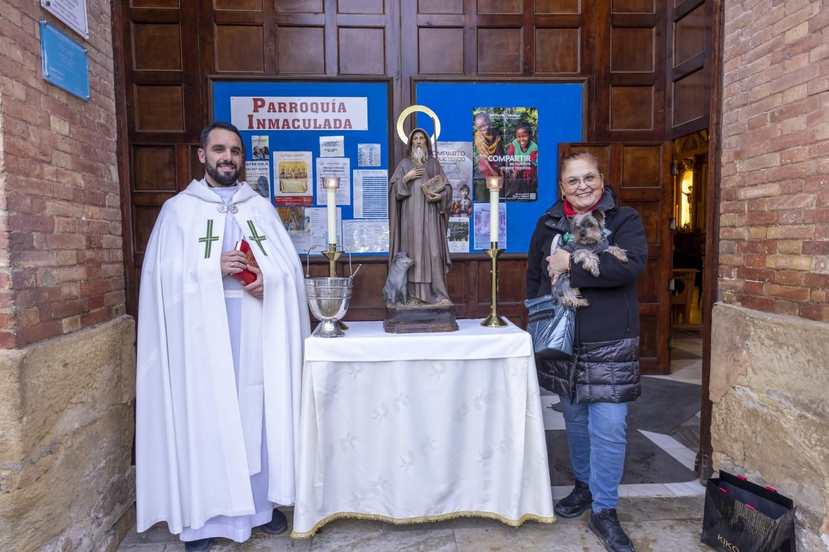 Bendición de animales por San Antón bajo una lluvia invernal en Torrevieja