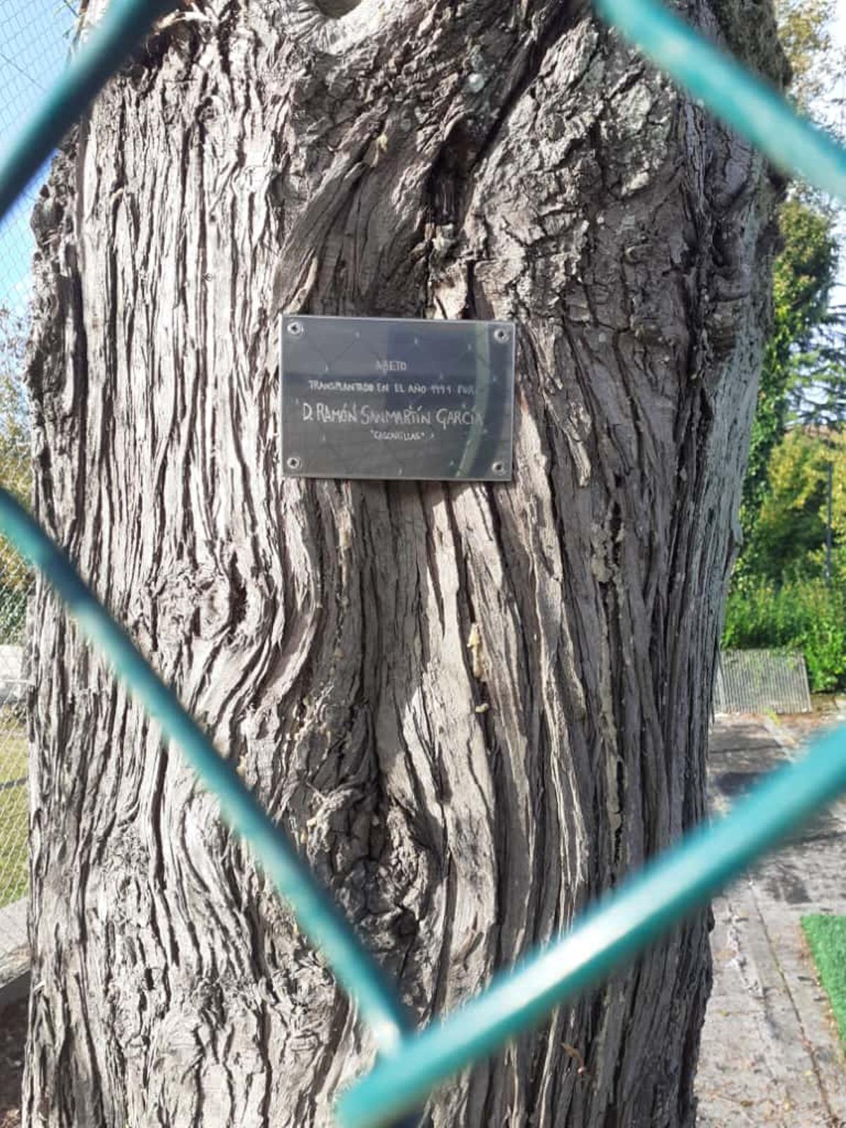 La placa lucía en el histórico abeto en recuerdo a Moncho Sanmartín, uno de los fundadores de las instalaciones de Conxo
