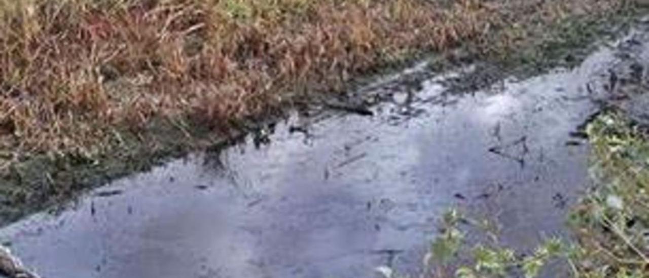 Imagen del vertido de agua fecales en el cauce del barranco de Antigua procedente de la depuradora municipal. | | LP/DLP