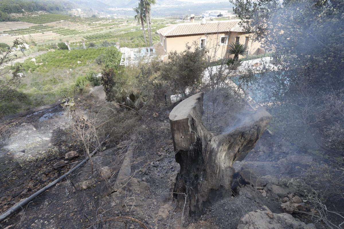 El incendio arrasa la urbanización Monte Corona de Ador