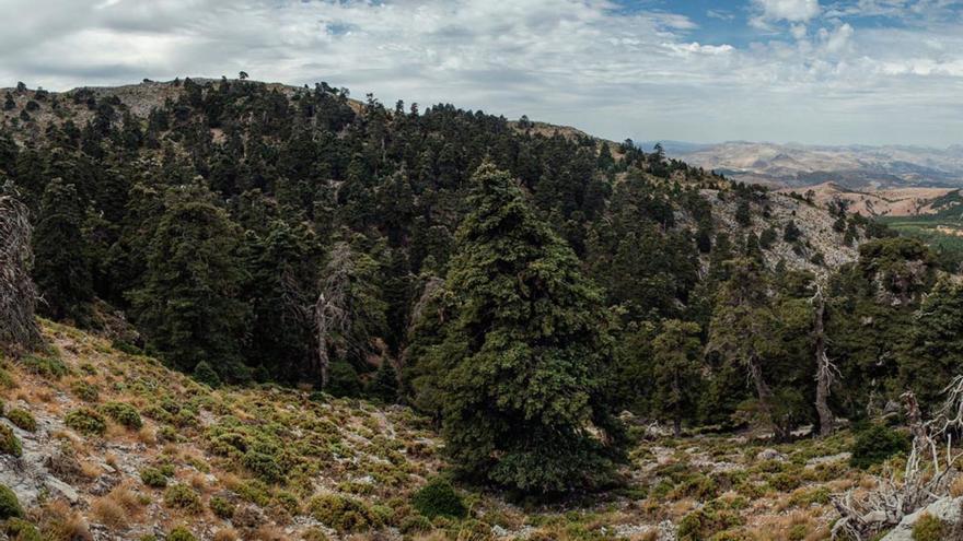 Una de las más bellas panorámicas del Parque Nacional Sierra de las Nieves.