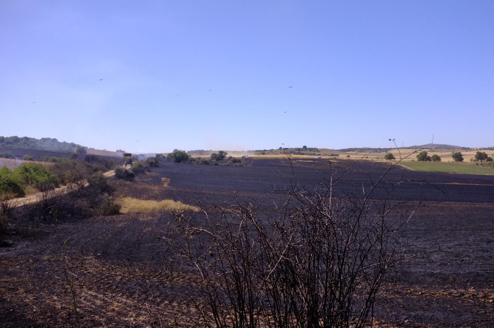 GALERÍA | El incendio forestal de Manganeses de la Polvorosa en imágenes