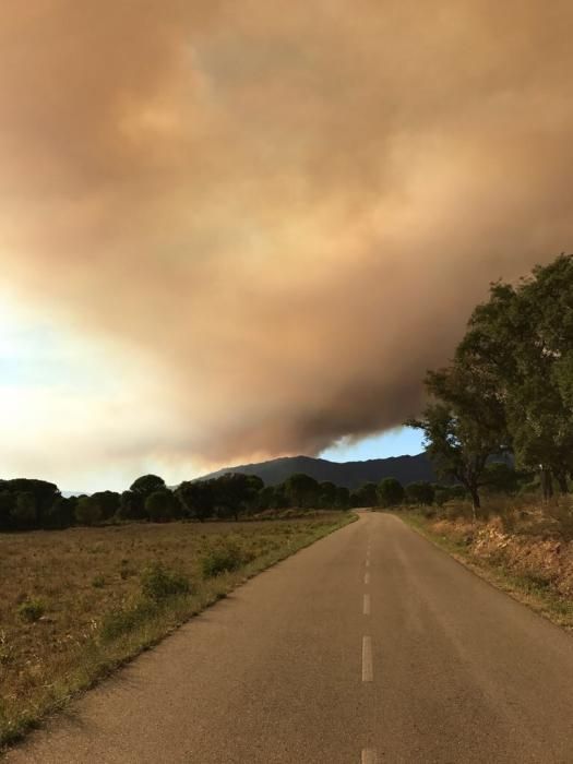 L'incendi al Rosselló avança cap a l'Empordà