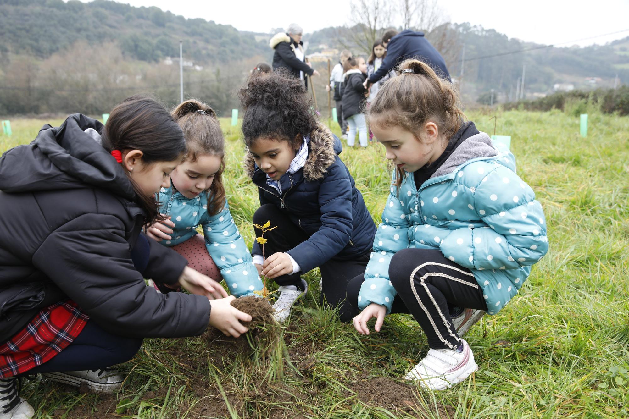 En imágenes: La alcaldesa de Gijón, en la plantación de árboles autóctonos en Somonte
