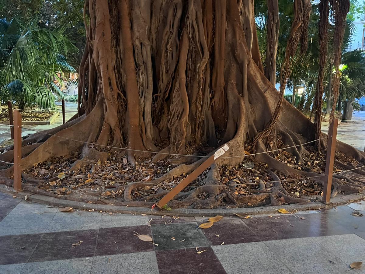 Una de las estructuras metálicas, este domingo caída