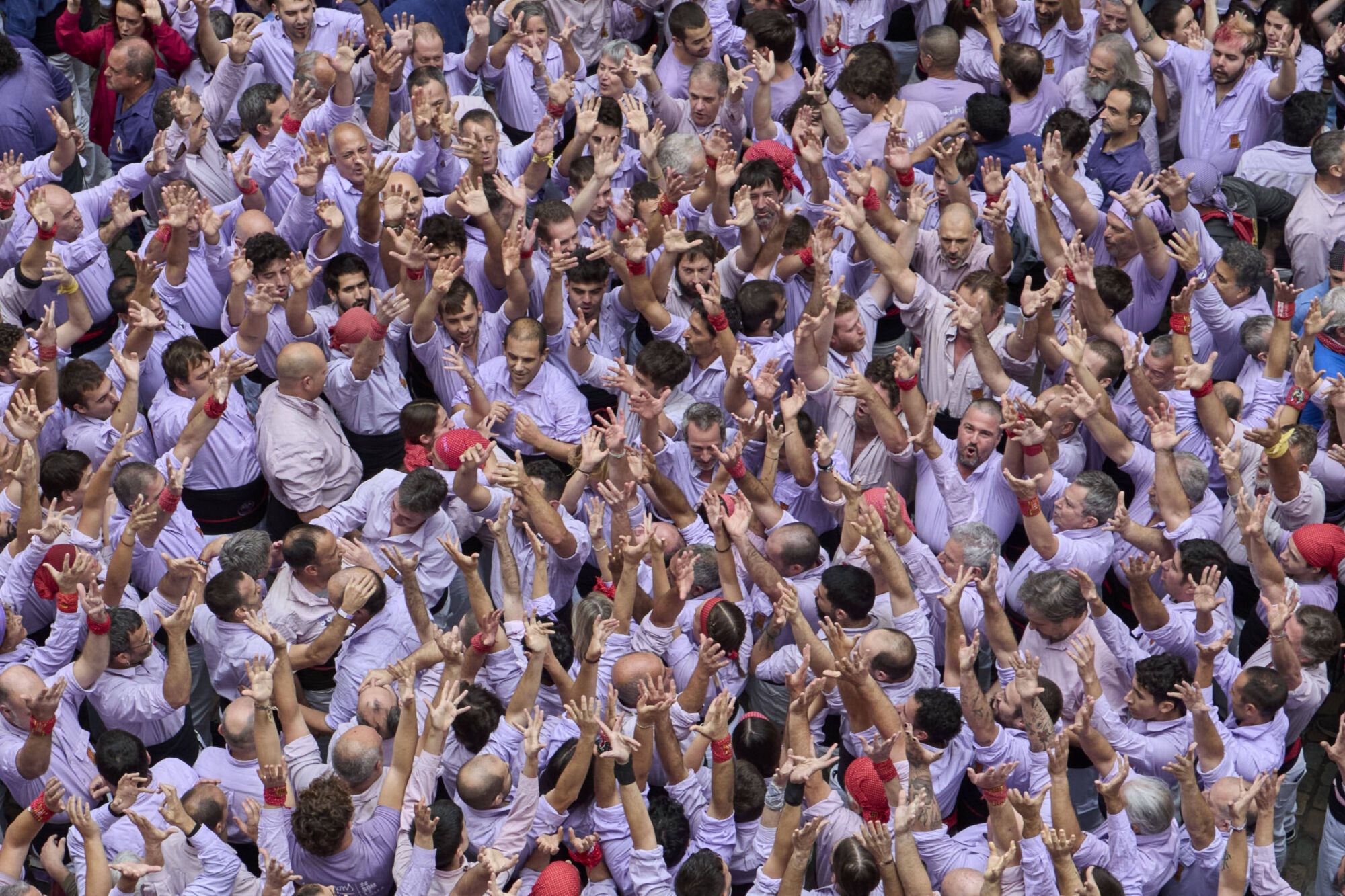Diada Cartelera amb Els Marrecs de Salt, Capgrossos i Minyons de Terrassa a la plaça del Vi.