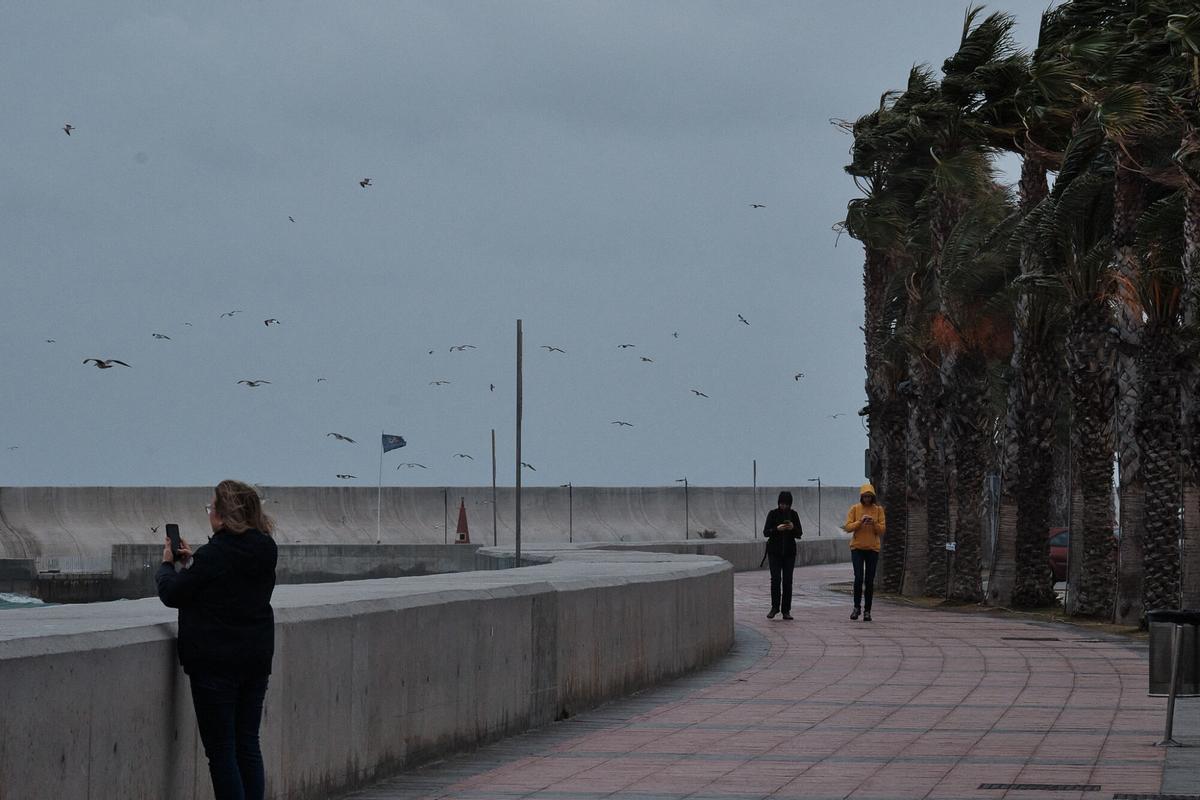 Málaga sufre los efectos del viento y la lluvia durante la alerta naranja