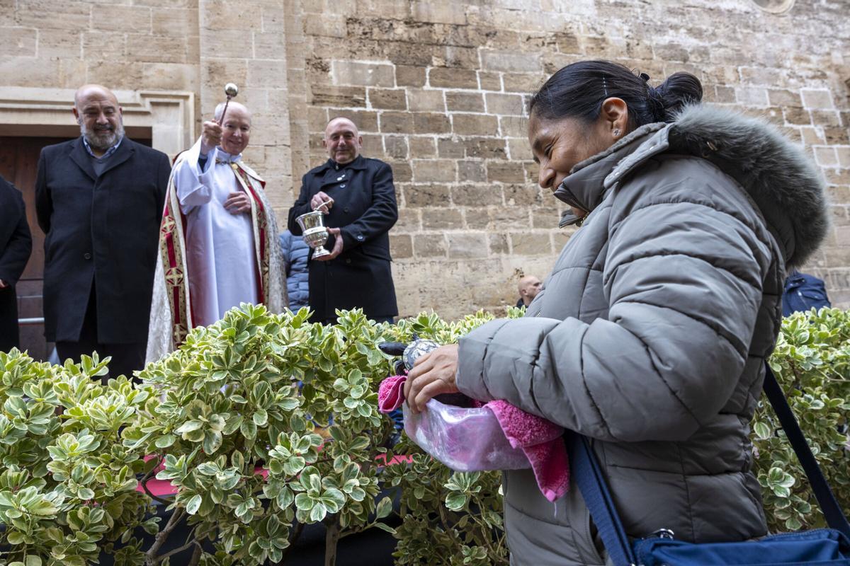 PALMA. BENEIDES DE PALMA 2026.