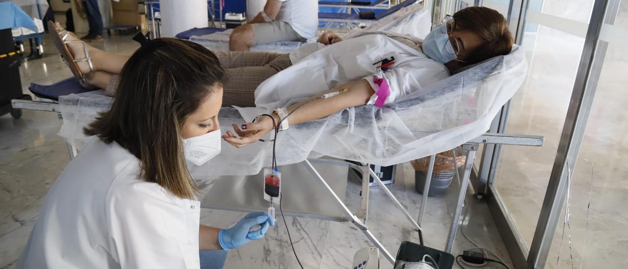 Colecta para donar sangre que acoge este jueves el hospital Reina Sofía, dentro de la 20 Semana del Donante.