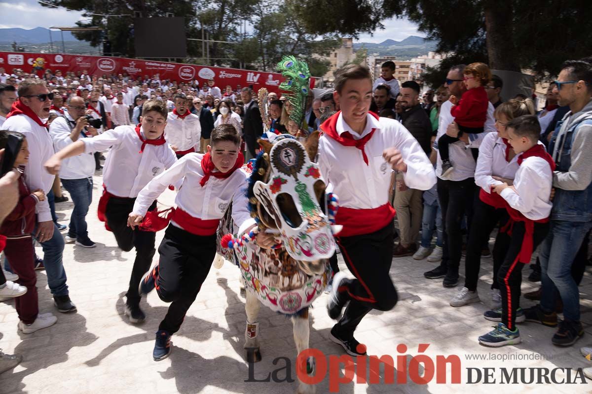 Desfile infantil en las Fiestas de Caravaca (Bando Caballos del Vino)