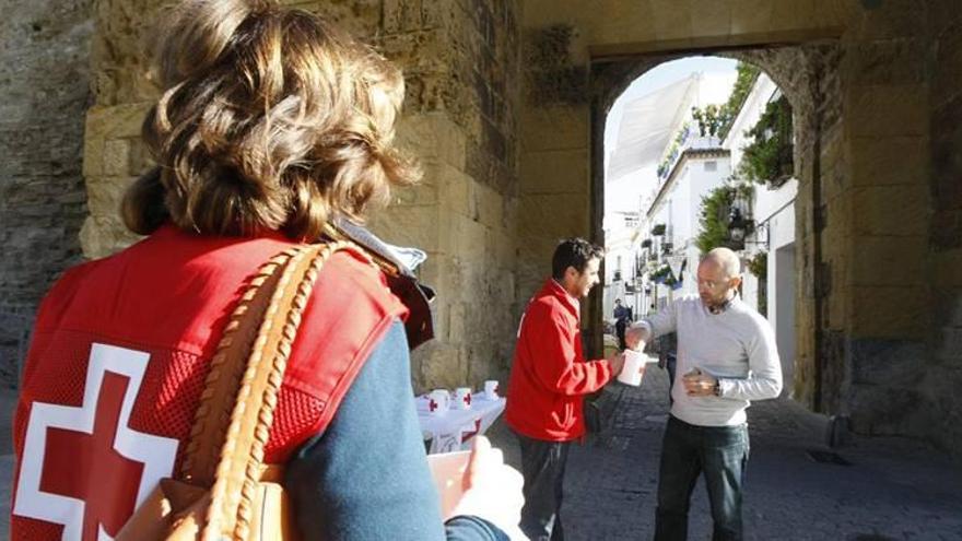 Cruz Roja inundará este jueves de claveles el centro de Córdoba por la igualdad en el empleo