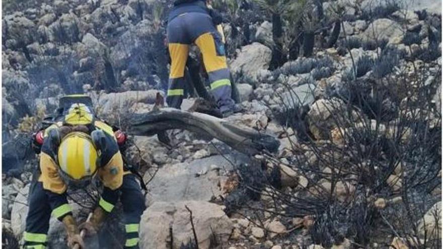 Brigadas del Ibanat inspeccionan la zona del incendio en el Coll de Síller.