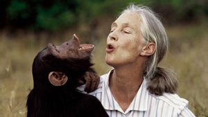 Els ensenyaments de Jane Goodall
