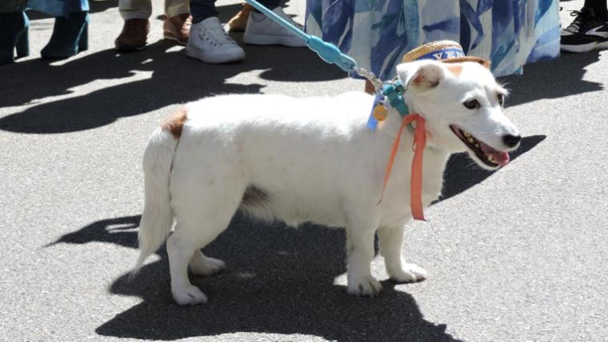 Passejada amb Barret 2025