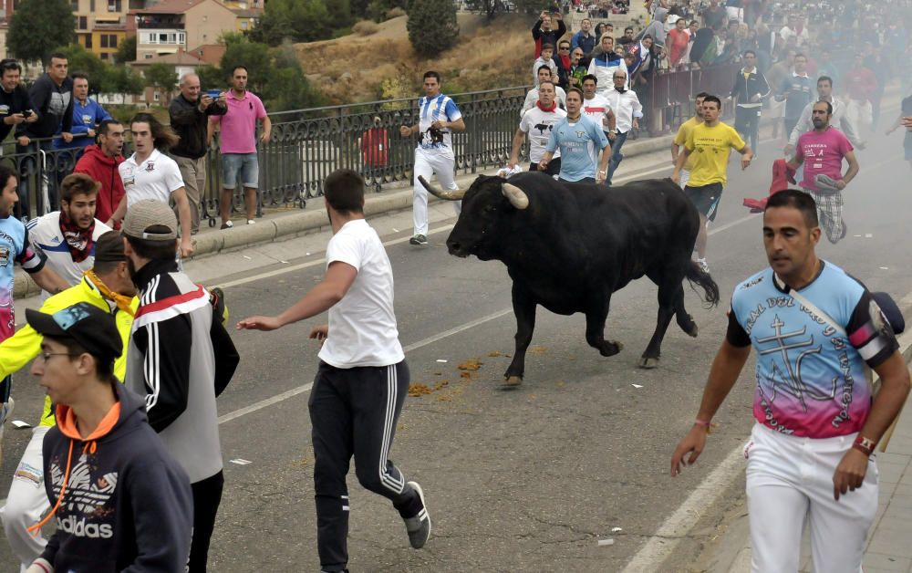 Toro de la Peña en Tordesillas