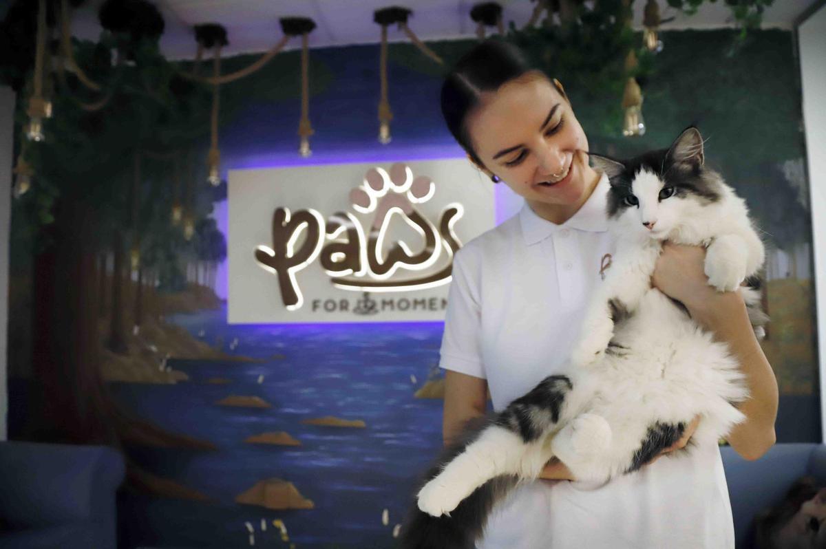 Michael Buenaventura, propietario del nuevo, 'Paws for a Moment', coworking de Málaga con gatos que combina trabajo y relax