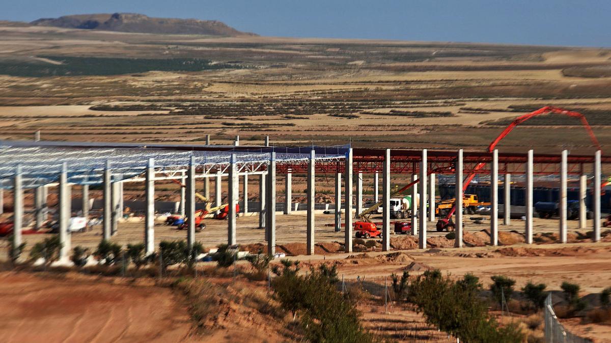 El armazón de las futuras naves de logística del complejo del matadero ya es visible