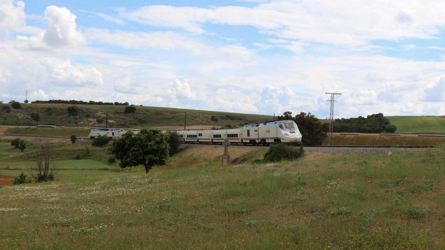 Adif reforzará el vallado de las vías para evitar la entrada de conejos