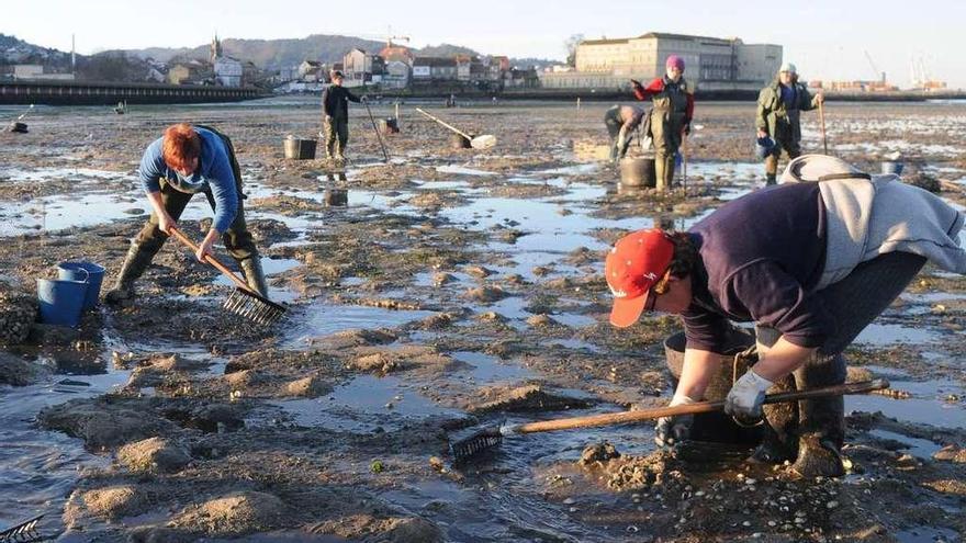 Un grupo de mariscadoras gallegas durante una jornada de trabajo.