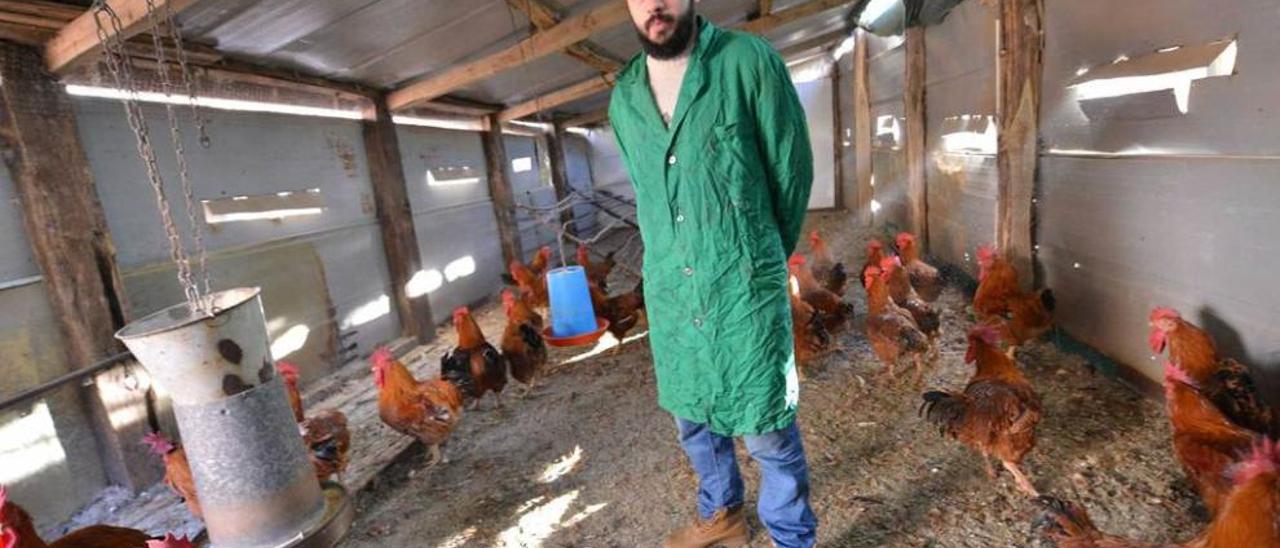 un proceso completo en una única nave. El matadero de El Vallín tiene cincuenta metros cuadrados y permite un proceso completo. En la imagen superior aparece Amador García en la zona de cría en libertad. Debajo, García padre y su hijo, junto a Iris Díaz y Marcelino Olay, en la sala de sacrificios.