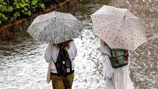 El tiempo en Sevilla por horas, según la AEMET, ¿a qué hora va a llover en Sevilla?