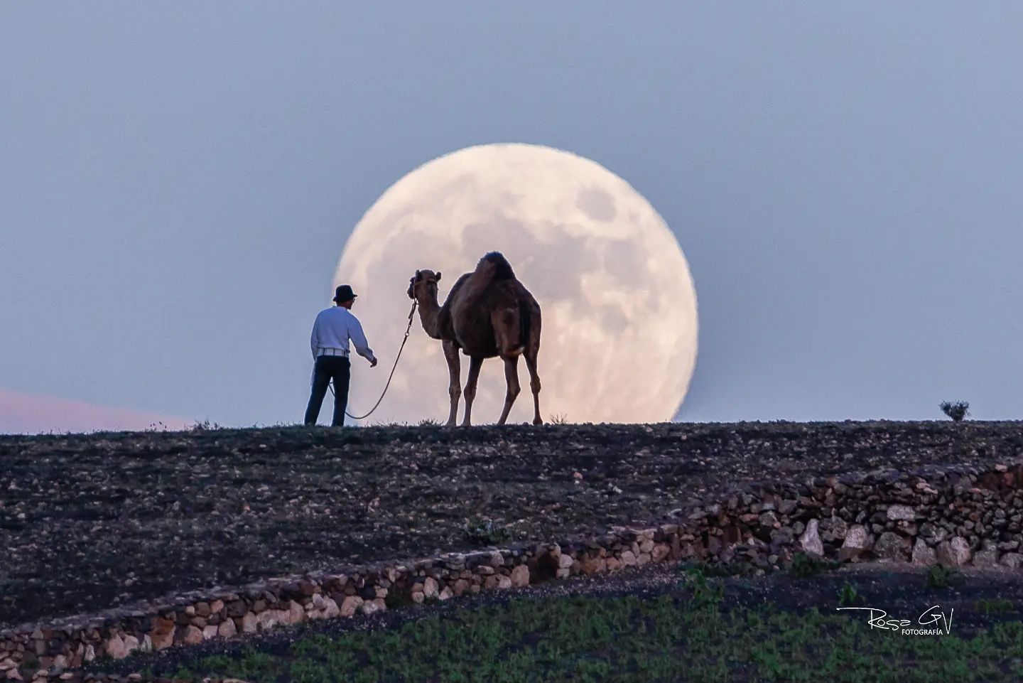 Serie 'El camello y la luna'
