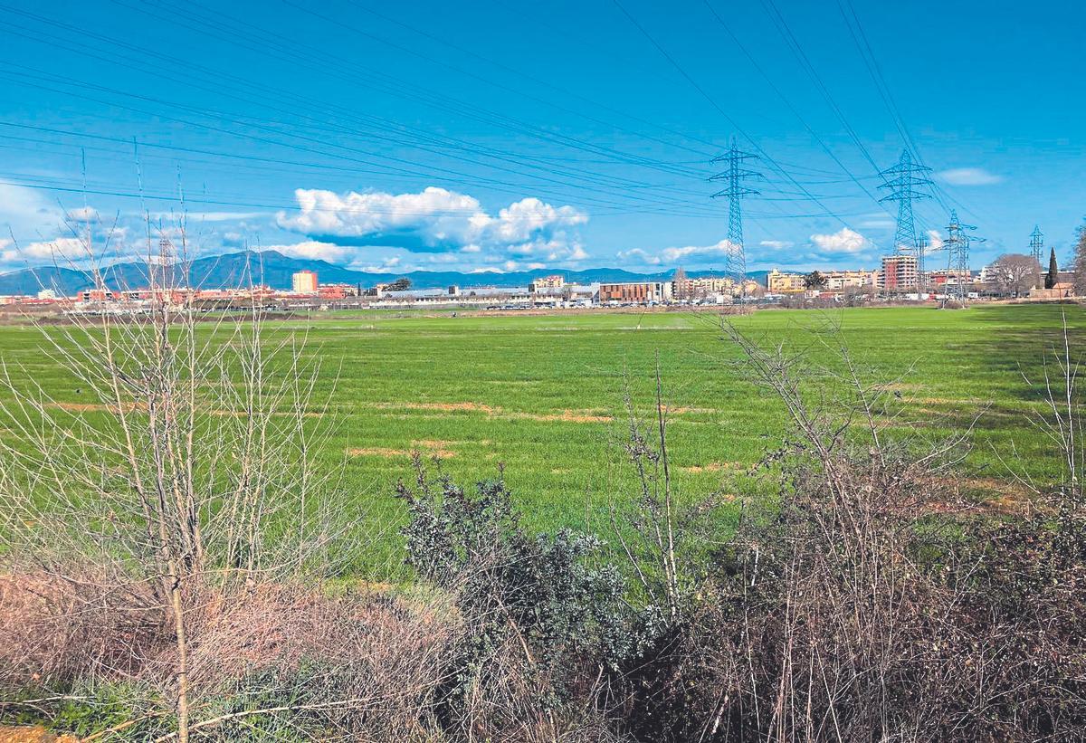 Part dels terrenys inclosos en el conveni urbanístic que formaran part del futur Campus de Salut