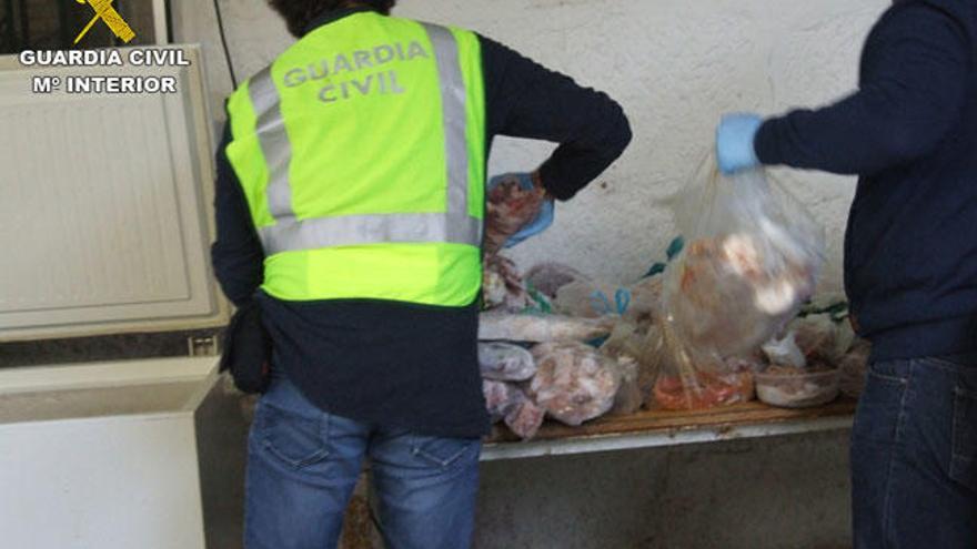 Se precintaron unos 1.000 kilos de carne // GUARDIA CIVIL