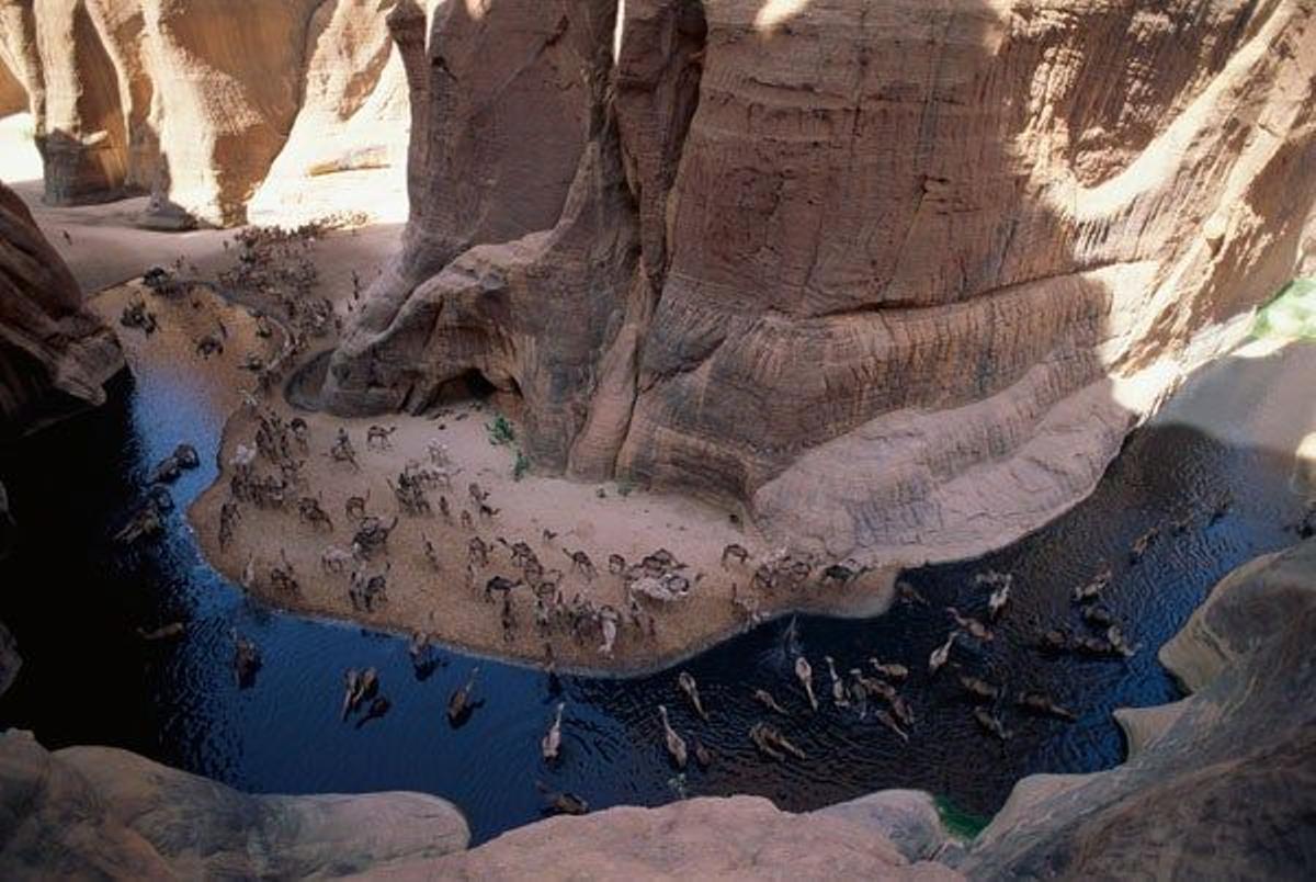 Guelta de Archei