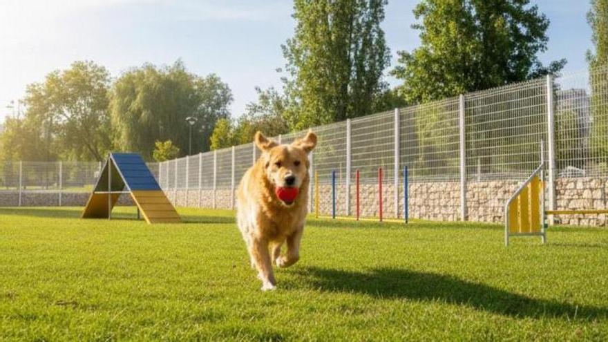 El parque de barrio en A Coruña que se convertirá en un área de entrenamiento para perros: de la agilidad a la "valentía"