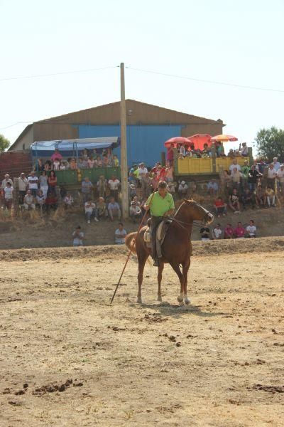 Fiestas en Zamora: Encierro en Argujillo