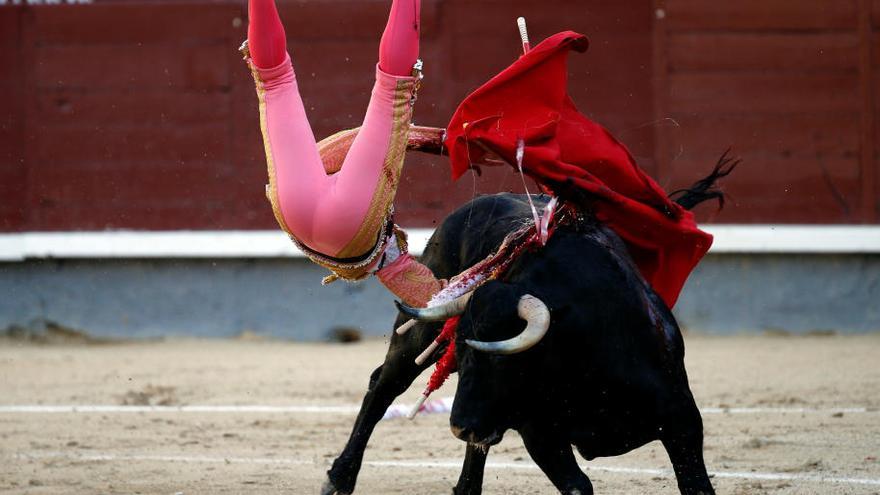 El novillero Pablo Belando, muy grave por una cogida