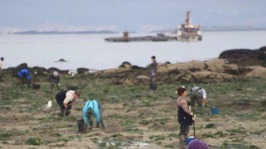 Las mujeres aún dominan el marisqueo a pie. // Muñiz