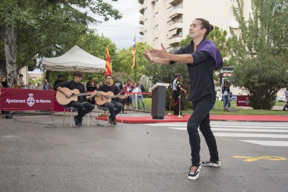 Celebració institucional de la Diada a Manresa