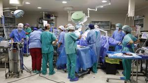 Médicos de los hospitales Sant Joan de Déu y el Clínic trabajan en el proyecto de placenta artificial.