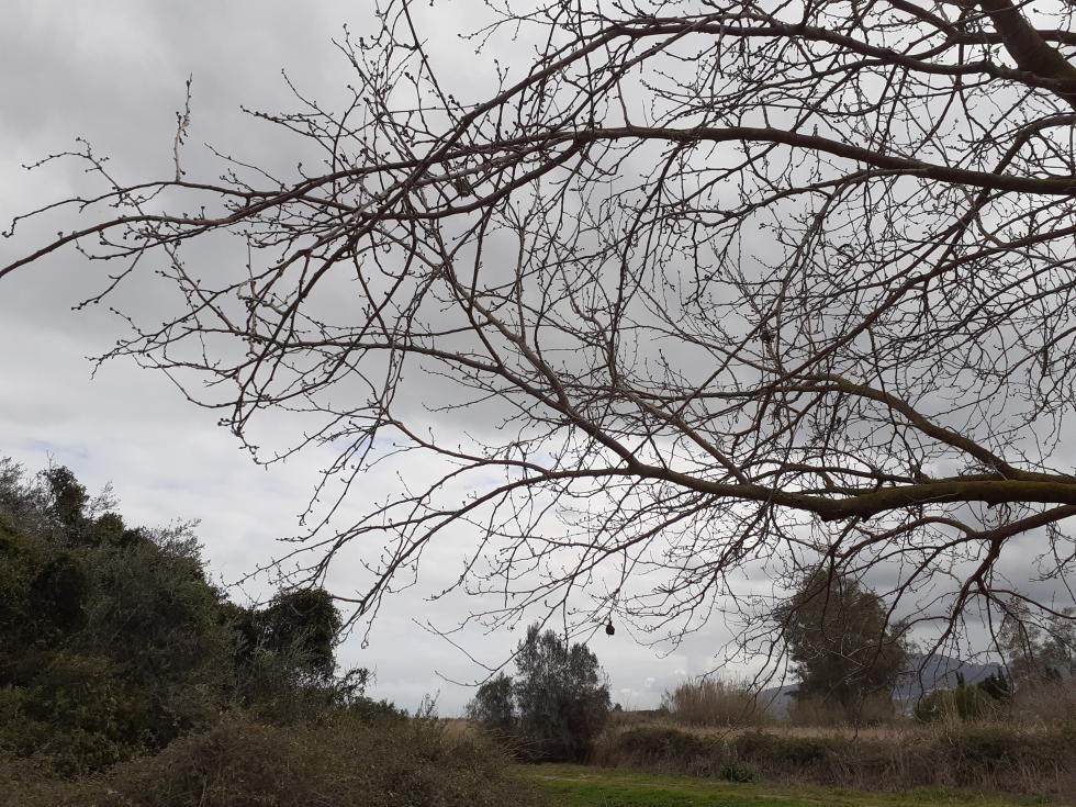 Parque natural de la Marjal de Pego-Oliva