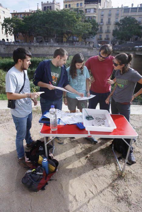 Els naturalistes fan un mostreig a l'Onyar