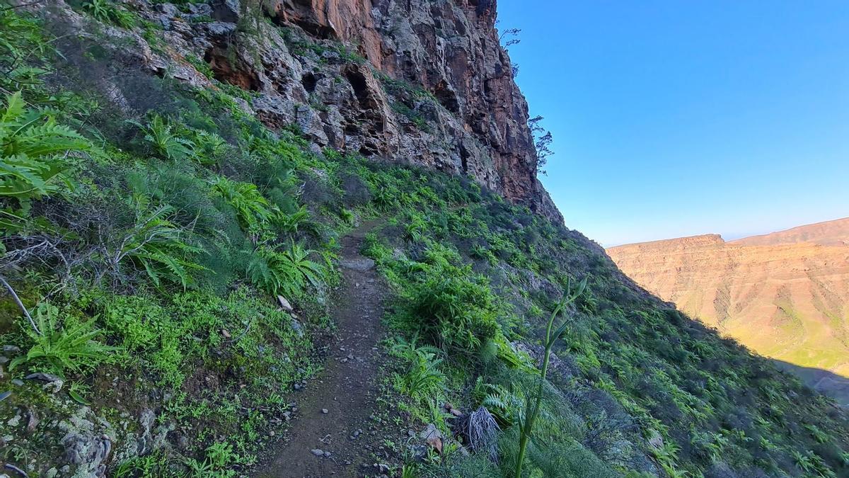 Paso de Los Laderones al Barranco de Taurito
