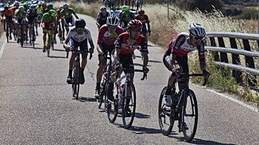 El pelotón, pasando por Peñausende.