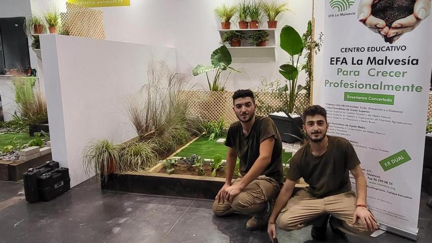 La Malvesía de Llombai queda finalista en el certamen de jardín -  Levante-EMV