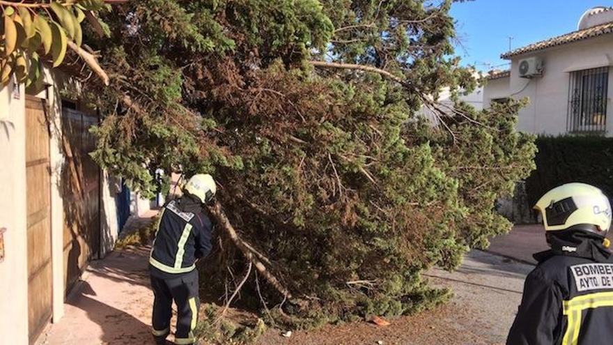 El término de Mijas resultó afectado por el viento.