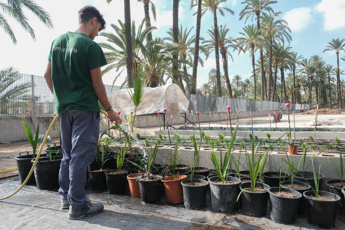 Un alumno de FP en el centro integrado de La Torreta, Elche
