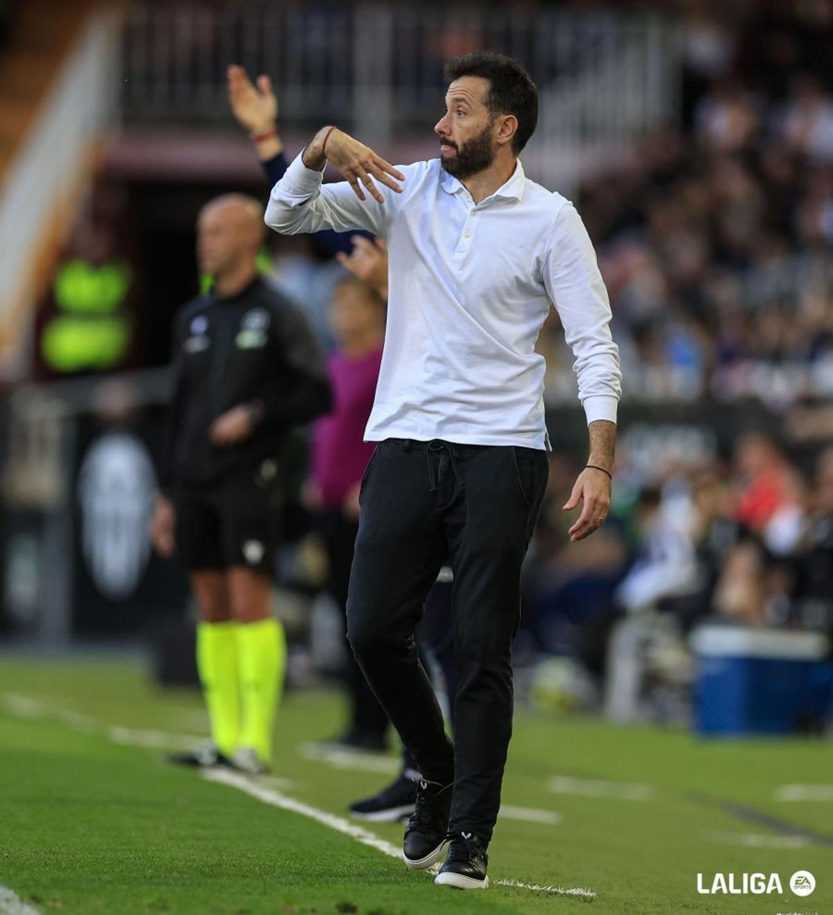 Carlos Corberán durante el Valencia - Sevilla en mesalla