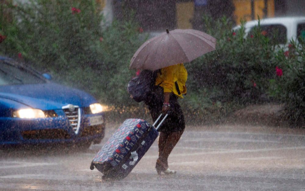 Las mejores fotos de la semana de los fotoperiodistas de Levante-EMV