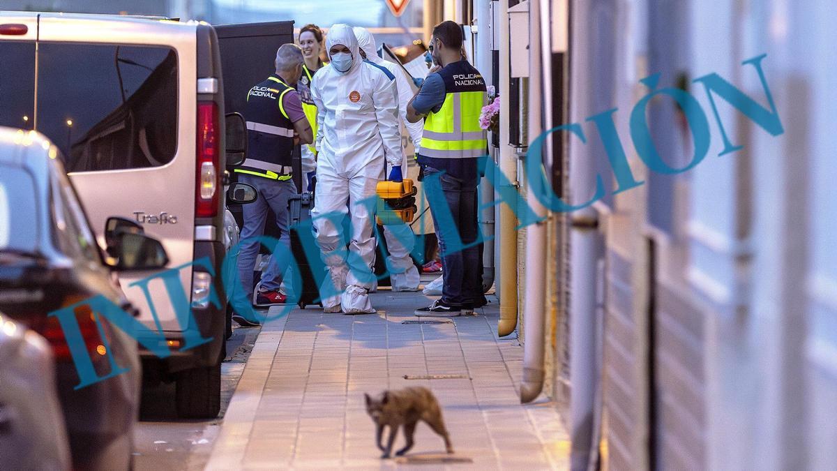 La Policía halla en casa de un matrimonio arrestado en El Bacarot el cadáver sepultado de Jesús Tavira, desaparecido hace 42 días